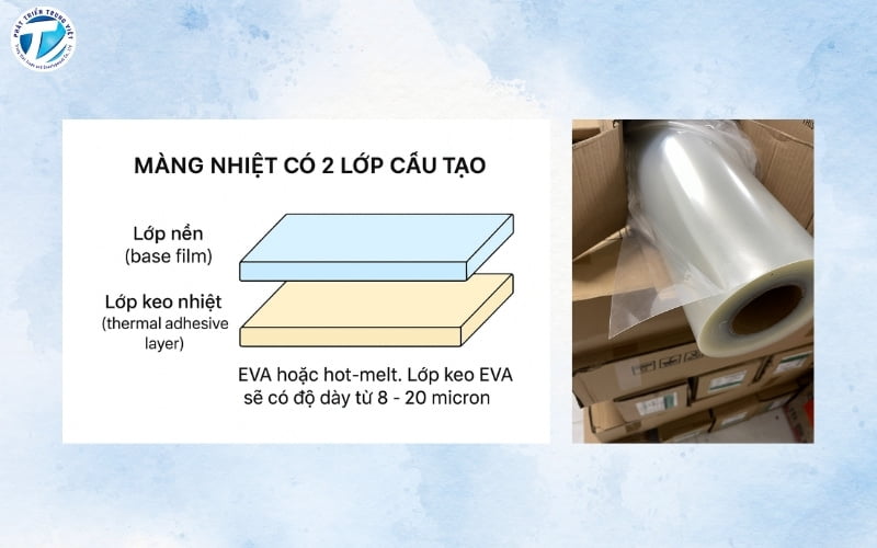 Cấu tạo của màng nhiệt